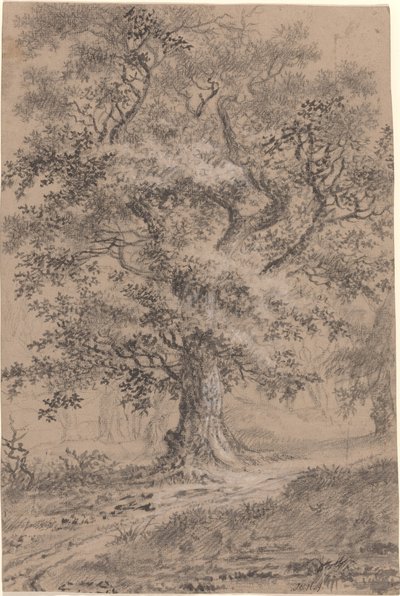 Orman Yolunda Yapraklı Meşe by Johann Caspar Huber