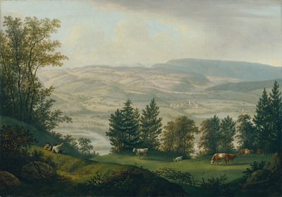 Habsburg harabelerinin çevresi by Johann Caspar Rahn