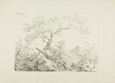 Suyun Yanındaki Ağaçlar ve Kayalar by Johann Christian Klengel