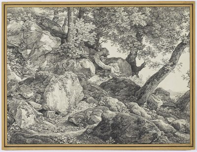 Palazzo Chigi Parkında, Ariccia, 1818 (döşemiş kağıt üzerine grafit ve siyah tebeşir) by Johann Christian Reinhardt