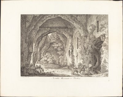 Villa Mecenate