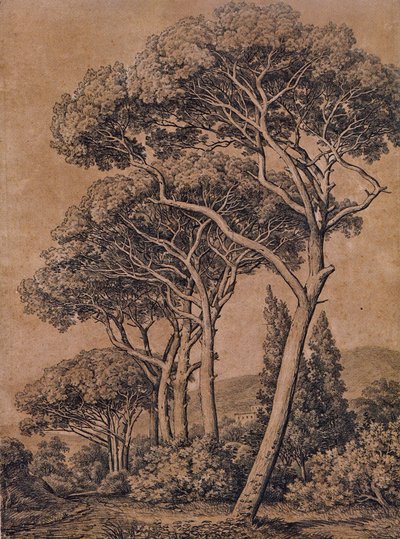 J C Reinhart Şemsiye çamları 1791 by Johann Christian Reinhart