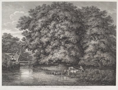 Great Oaks