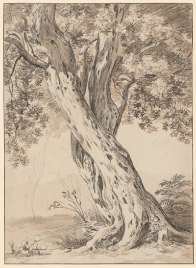 İç İçe İki Meşe Ağacı by Johann Christian Reinhart