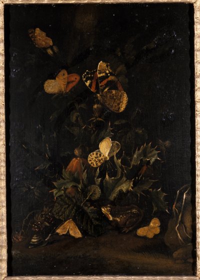 Kelebekler ve kurbağalı çiçekler (meşe ağacı üzerinde yağ) by Johann Christian Thomas Winck