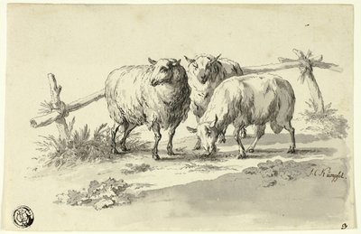 Koyun by Johann Christoph Kimpfel