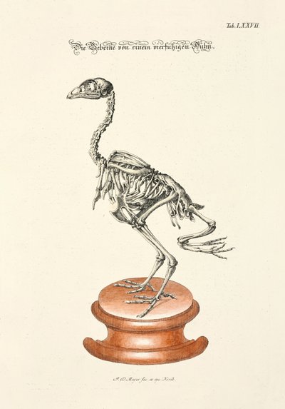  by Johann Daniel Meyer