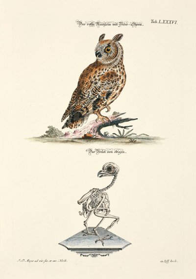  by Johann Daniel Meyer