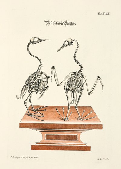  by Johann Daniel Meyer