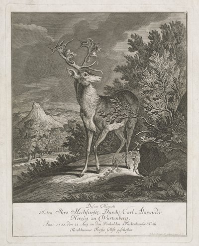 Manzarada Muhteşem Bir Geyik by Johann Elias Ridinger