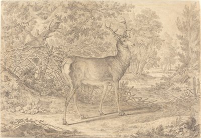 Bir Wattle Çitin Önünde Muhteşem Bir Genç Geyik by Johann Elias Ridinger