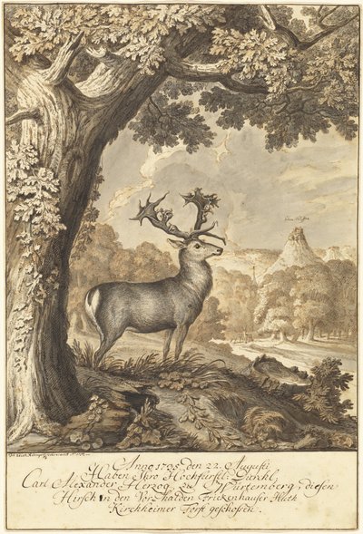 Mighty Oak Altında Bir Geyik by Johann Elias Ridinger