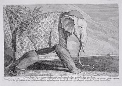 Bir fil by Johann Elias Ridinger or Riedinger