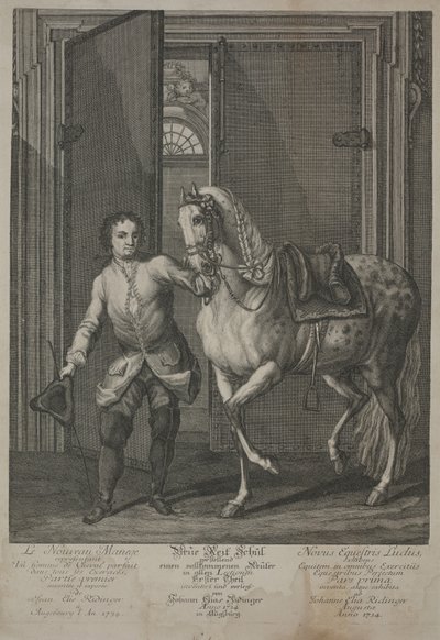 Yeni Binicilik Okulu by Johann Elias Ridinger