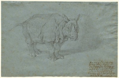 Gergedan "Bayan Clara" by Johann Elias Ridinger