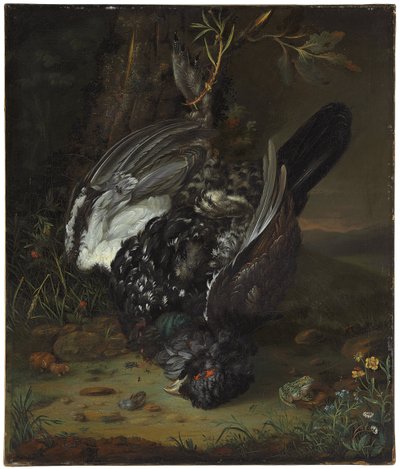 Ormanlık bir arazide bir blackcock, 1747 by Johann Friedrich von Grooth