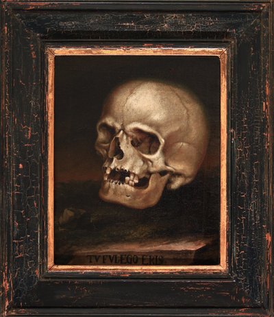  by Johann Georg Dieffenbrunner
