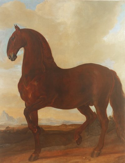 Eisgruber Stud