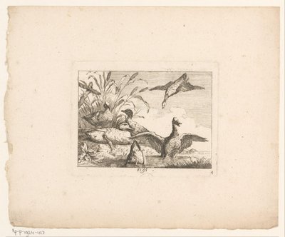 Altı ördekli manzara Manzaradaki kuşlar (dizi başlığı) by Johann Georg Hertel (I) (possibly)