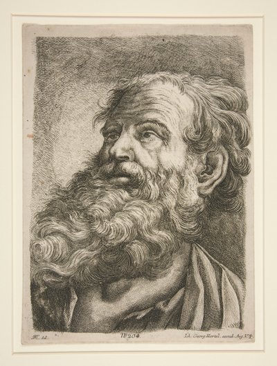 Erkek Baş (Bir Havarinin?) by Johann Georg Hertel