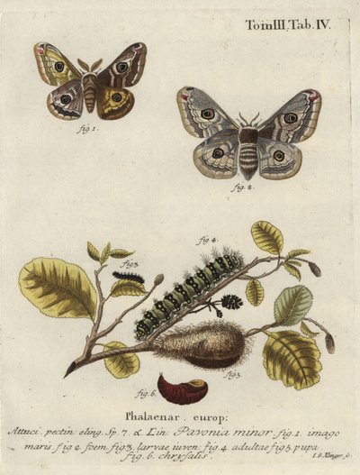 Bilinmeyen resim by Johann Georg Klinger