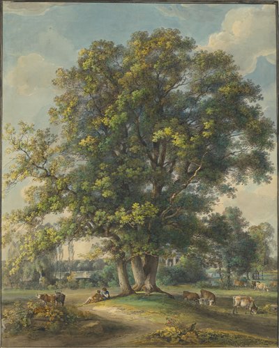 Ve Arcadia