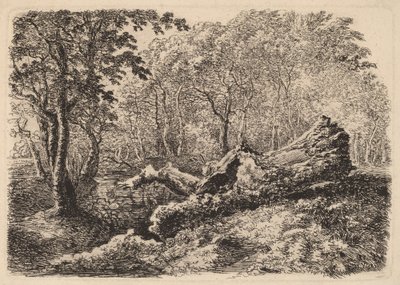 Dökülen Ağaç Gövdesi by Johann Georg von Dillis