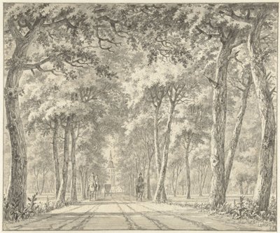 Schloss Karlsruhe ile bir caddenin görünümü by Johann Goll van Frankenstein (I)