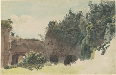 Ağaçlar ve Çalılarla Büyümüş Antik Roma Harabeleri by Johann Gottfried Klinsky
