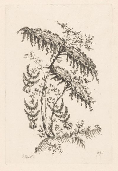 Boynuz şekilli yapraklar Fleures Barok (dizi adı) by Johann Heinrich  Hess
