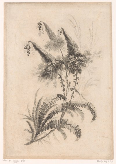 Puntige bloemen Yeni Lezzet Çiçekleri Koleksiyonu; Manufacturing des Etoffes de Perse için (seri başlığı) by Johann Heinrich  Hess