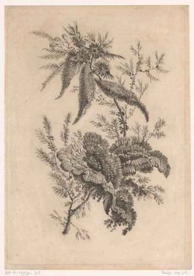 Wilde roosachtigen Yeni Tat Çiçekleri Koleksiyonu; Manufacturing des Etoffes de Perse için (seri başlığı) by Johann Heinrich  Hess