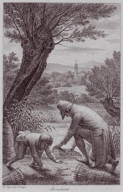  by Johann Heinrich Lips