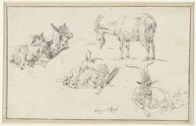 Bir keçinin çalışmaları by Johann Heinrich Roos (possibly)