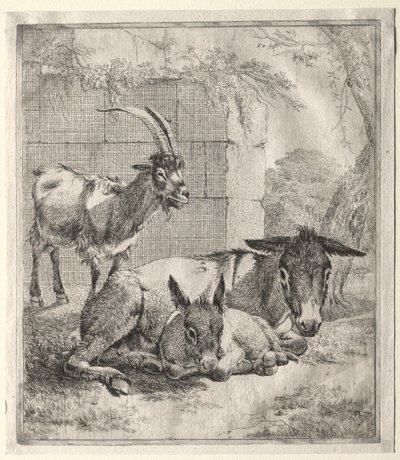Keçi ve Eşekler by Johann Heinrich Roos