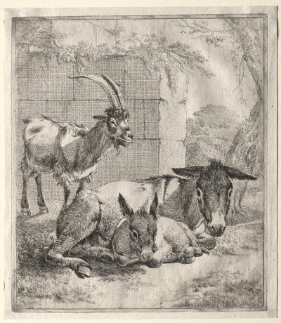 Keçi ve Eşekler. by Johann Heinrich Roos