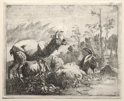 keçiler by Johann Heinrich Roos