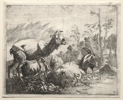 Keçiler, 1665. by Johann Heinrich Roos