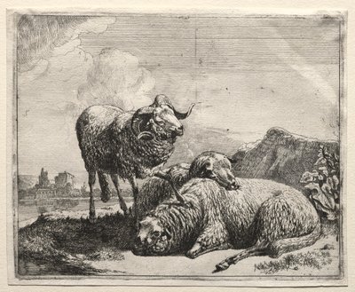 Koç ve İki Koyun by Johann Heinrich Roos