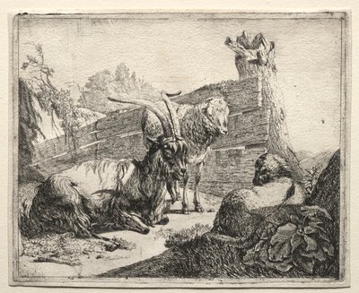 Çit, 1665. by Johann Heinrich Roos