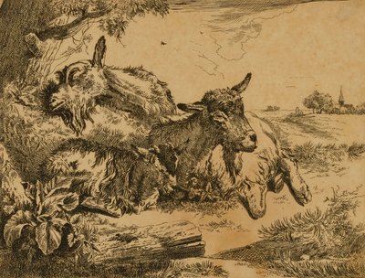  by Johann Heinrich Roos