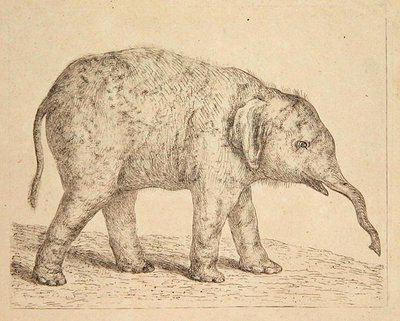 Fil (gravür) by Johann Heinrich Wilhelm Tischbein