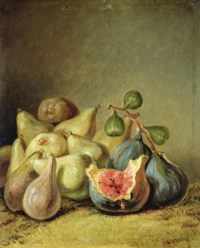 Meyve Natürmort by Johann Heinrich Wilhelm Tischbein