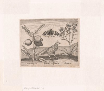 Bir Manzarada Çiçekler ve Hayvanlar ile Baskı Serisi Limon bitkisi, bıldırcın ve hız kuyusu ile manzara Hayvanlar, bitkiler ve çiçeklerle dolu manzaralar (dizi başlığı) by Johann Hogenberg