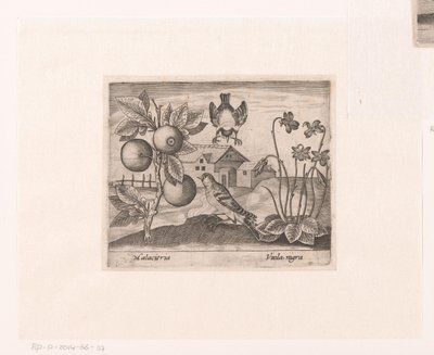 Bir Manzarada Çiçekler ve Hayvanlar ile Baskı Serisi Narenciye bitkisi, kuşlar ve menekşeler ile manzara Hayvanlar, bitkiler ve çiçeklerle dolu manzaralar (dizi başlığı) by Johann Hogenberg