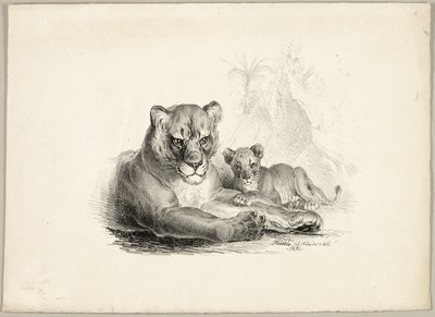  by Johann Höchle