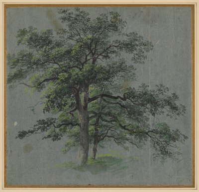 İki Ağaç (rekto) by Johann Jacob Dorner