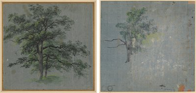 İki Ağaç (recto) Ağaç Çalışmaları (verso) by Johann Jacob Dorner