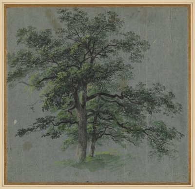 İki Ağaç, 1800