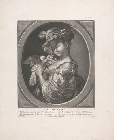Güvercin by Johann Jacobus Haid